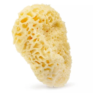 HHUUMM 01H Naturalna gąbka morska (żółta) – 17,5 cm