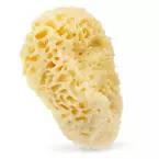 HHUUMM 01H Naturalna gąbka morska (żółta) – 17,5 cm